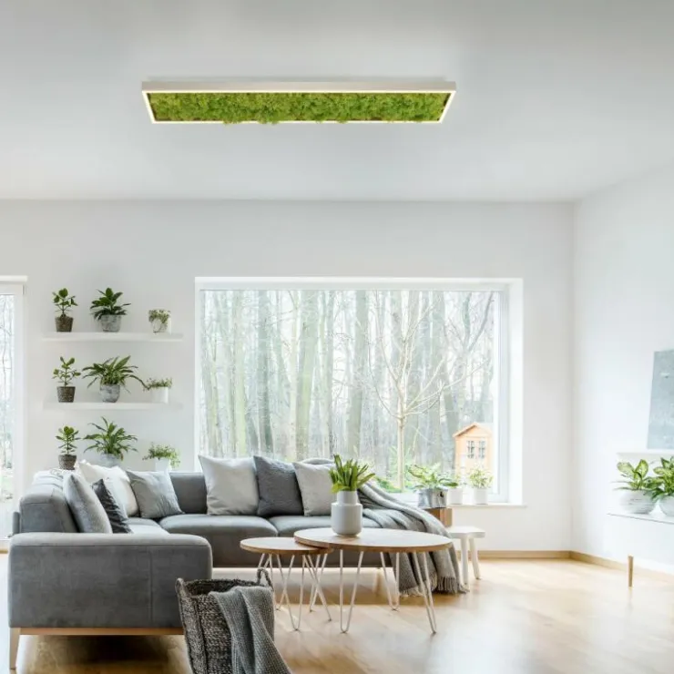Luminaires Leuchten Direkt Éclairage Led|Plafonnier Leuchten-Direkt GREEN KNUT LED Argenté, 1 lumière