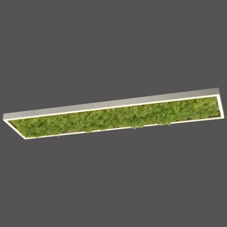Luminaires Leuchten Direkt Éclairage Led|Plafonnier Leuchten-Direkt GREEN KNUT LED Argenté, 1 lumière