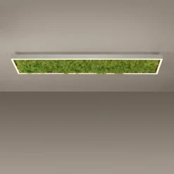 Luminaires Leuchten Direkt Éclairage Led|Plafonnier Leuchten-Direkt GREEN KNUT LED Argenté, 1 lumière