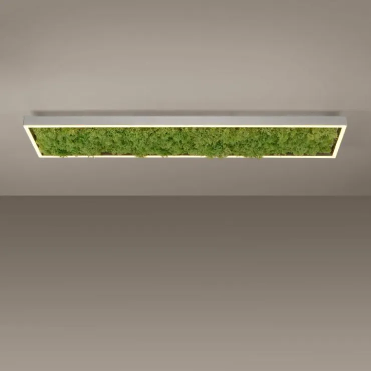 Luminaires Leuchten Direkt Éclairage Led|Plafonnier Leuchten-Direkt GREEN KNUT LED Argenté, 1 lumière