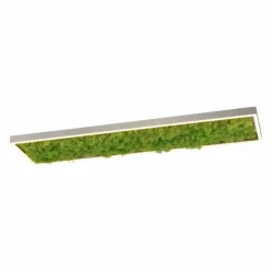 Luminaires Leuchten Direkt Éclairage Led|Plafonnier Leuchten-Direkt GREEN KNUT LED Argenté, 1 lumière