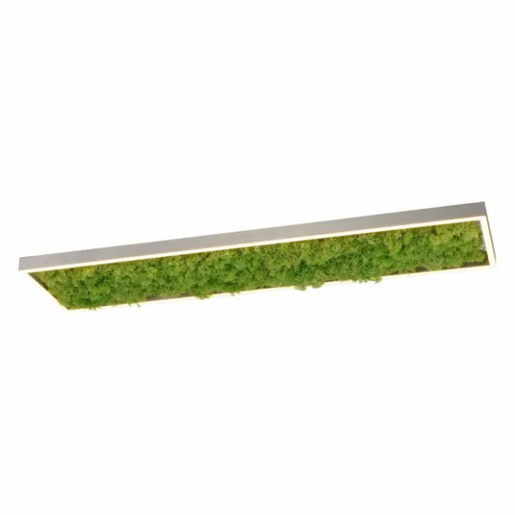 Luminaires Leuchten Direkt Éclairage Led|Plafonnier Leuchten-Direkt GREEN KNUT LED Argenté, 1 lumière