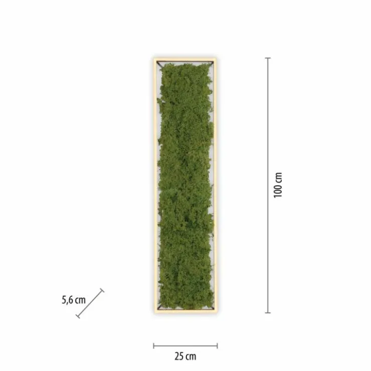 Luminaires Leuchten Direkt Éclairage Led|Plafonnier Leuchten-Direkt GREEN KNUT LED Argenté, 1 lumière