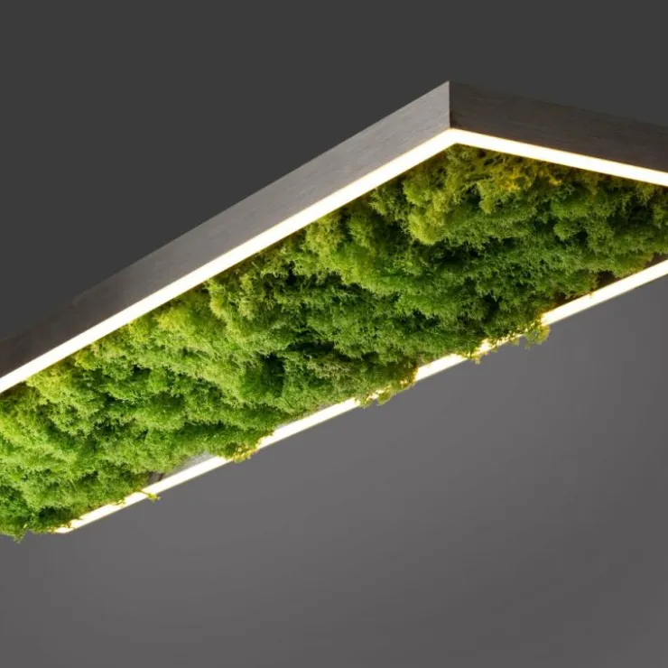 Luminaires Leuchten Direkt Éclairage Led|Plafonnier Leuchten-Direkt GREEN KNUT LED Argenté, 1 lumière
