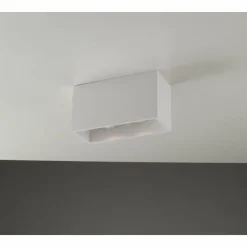 Luce Design Plafonniers|Plafonnier Foster peut être peint avec de la peinture ordinaire, Blanc, 2 lumières