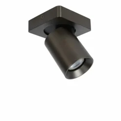 Luminaires Lucide Spots Et Projecteurs|Plafonnier Lucide NIGEL LED Acier inoxydable, Noir, 1 lumière