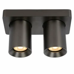 Luminaires Lucide Spots Et Projecteurs|Plafonnier Lucide NIGEL LED Acier inoxydable, Noir, 2 lumières