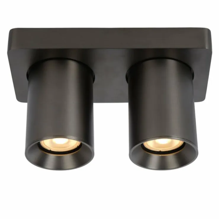 Luminaires Lucide Spots Et Projecteurs|Plafonnier Lucide NIGEL LED Acier inoxydable, Noir, 2 lumières