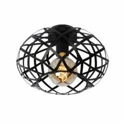 Luminaires Lucide Plafonniers|Plafonnier Lucide WOLFRAM Noir, 1 lumière