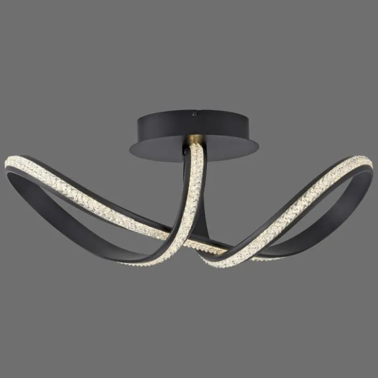 Luminaires Paul Neuhaus Éclairage Led|Plafonnier Paul Neuhaus BRILLA LED Noir, 1 lumière