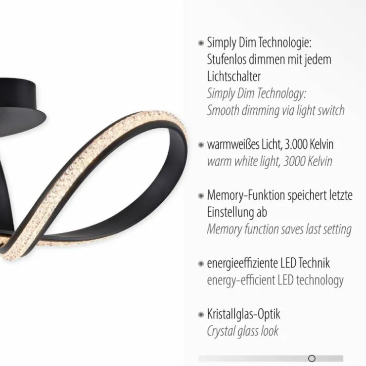 Luminaires Paul Neuhaus Éclairage Led|Plafonnier Paul Neuhaus BRILLA LED Noir, 1 lumière