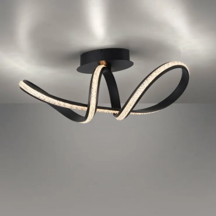 Luminaires Paul Neuhaus Éclairage Led|Plafonnier Paul Neuhaus BRILLA LED Noir, 1 lumière