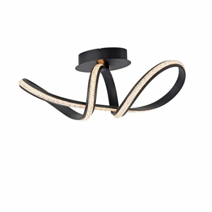 Luminaires Paul Neuhaus Éclairage Led|Plafonnier Paul Neuhaus BRILLA LED Noir, 1 lumière