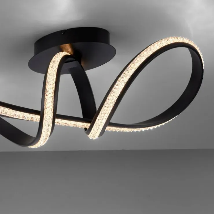 Luminaires Paul Neuhaus Éclairage Led|Plafonnier Paul Neuhaus BRILLA LED Noir, 1 lumière