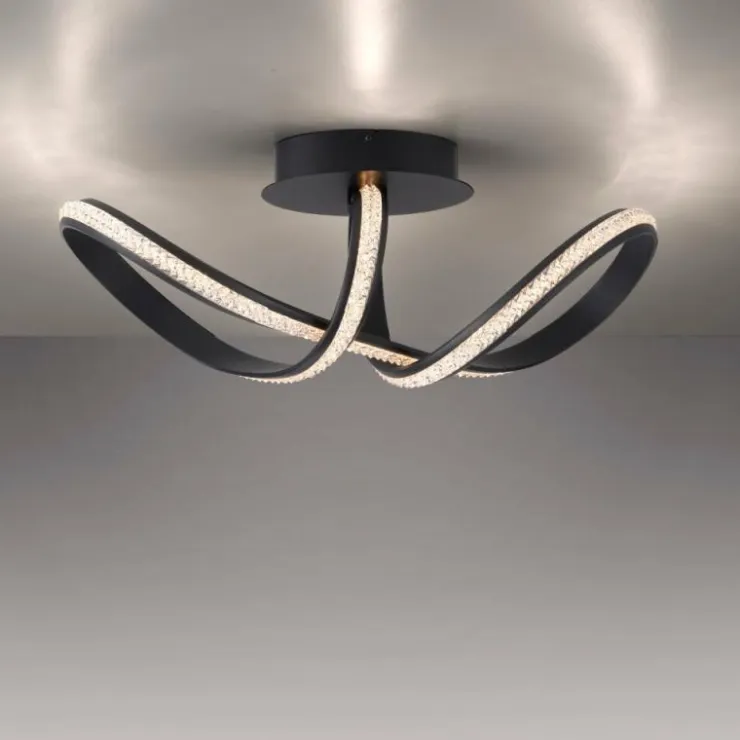 Luminaires Paul Neuhaus Éclairage Led|Plafonnier Paul Neuhaus BRILLA LED Noir, 1 lumière