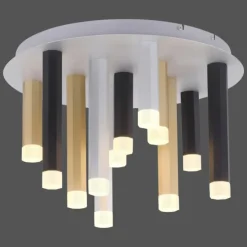 Luminaires Paul Neuhaus Éclairage Led|Plafonnier Paul Neuhaus PURE-GEMIN LED Aluminium, Noir, 12 lumières