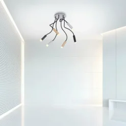 Luminaires Paul Neuhaus Éclairage Led|Plafonnier Paul Neuhaus PURE-GEMIN LED Aluminium, Laiton, Noir, 6 lumières