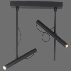 Luminaires Paul Neuhaus Éclairage Led|Plafonnier Paul Neuhaus PURE-TUTUA LED Noir, 2 lumières