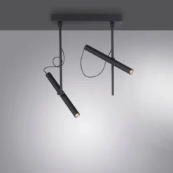 Luminaires Paul Neuhaus Éclairage Led|Plafonnier Paul Neuhaus PURE-TUTUA LED Noir, 2 lumières