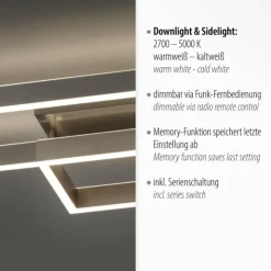 Luminaires Paul Neuhaus Éclairage Led|Plafonnier Paul Neuhaus PAAN LED Acier brossé, 1 lumière, Télécommandes