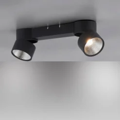 Luminaires Paul Neuhaus Éclairage Led|Plafonnier Paul Neuhaus PURE-NOLA LED Noir, 2 lumières