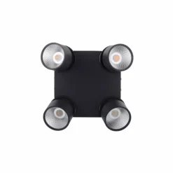Luminaires Paul Neuhaus Spots Et Projecteurs|Plafonnier Paul Neuhaus PURE-NOLA LED Noir, 4 lumières