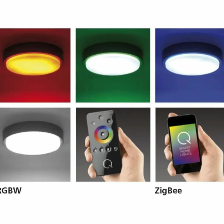 Plafonnier Paul Neuhaus Q-LENNY LED Anthracite, 1 lumière, Télécommandes, Changeur de couleurs