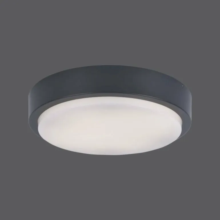 Plafonnier Paul Neuhaus Q-LENNY LED Anthracite, 1 lumière, Télécommandes, Changeur de couleurs