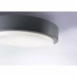 Plafonnier Paul Neuhaus Q-LENNY LED Anthracite, 1 lumière, Télécommandes, Changeur de couleurs