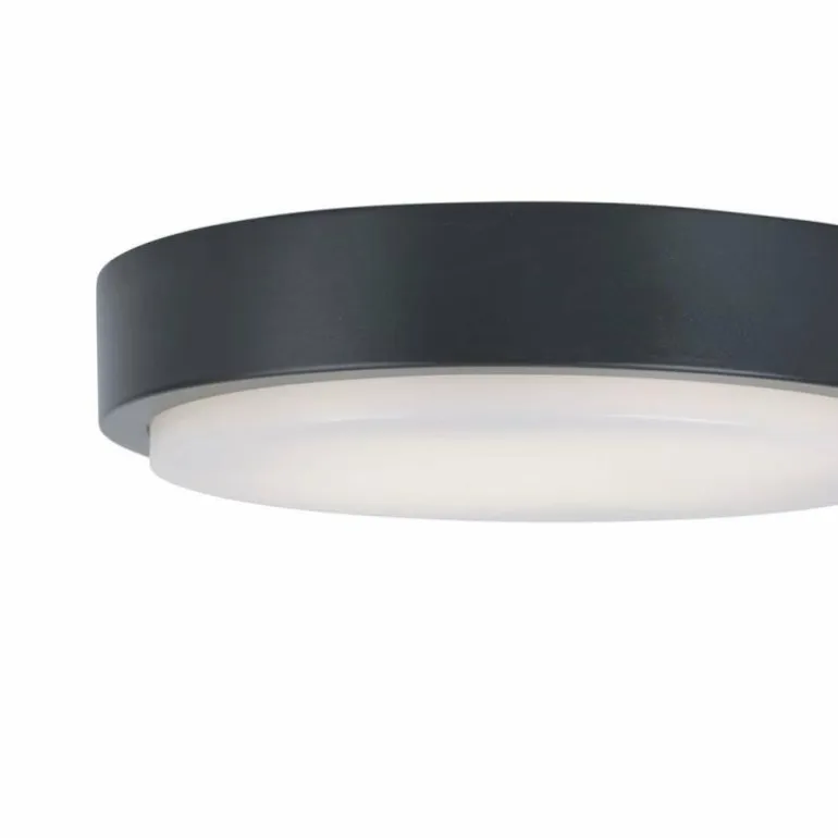 Plafonnier Paul Neuhaus Q-LENNY LED Anthracite, 1 lumière, Télécommandes, Changeur de couleurs