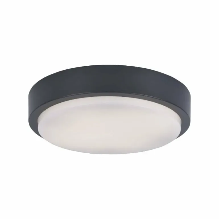 Plafonnier Paul Neuhaus Q-LENNY LED Anthracite, 1 lumière, Télécommandes, Changeur de couleurs