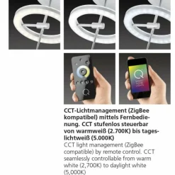 Plafonnier Paul Neuhaus Q-AMY LED Acier inoxydable, 2 lumières, Télécommandes