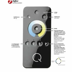 Plafonnier Paul Neuhaus Q-KIARA LED Gris, 1 lumière, Télécommandes