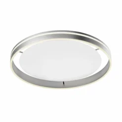 Plafonnier Paul Neuhaus Q-VITO LED Acier inoxydable, 1 lumière, Télécommandes