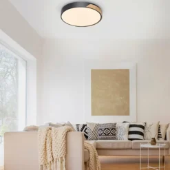 Plafonnier Paul Neuhaus Q-BILA LED Écru, Noir, 1 lumière, Télécommandes