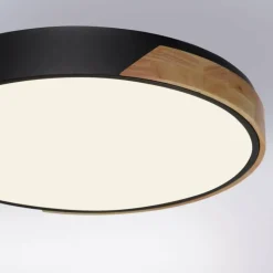 Plafonnier Paul Neuhaus Q-BILA LED Écru, Noir, 1 lumière, Télécommandes
