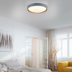 Plafonnier Paul Neuhaus Q-EMILIA LED Gris, Couleur bois, 1 lumière, Télécommandes