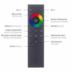Plafonnier Paul Neuhaus Q-ASMIN LED Noir, 2 lumières, Télécommandes