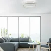 Plafonnier Paul Neuhaus Q-BELUGA LED Argenté, 1 lumière, Télécommandes