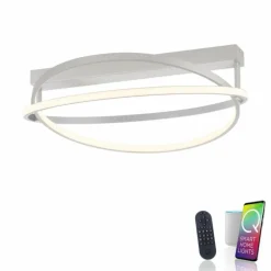 Plafonnier Paul Neuhaus Q-BELUGA LED Argenté, 1 lumière, Télécommandes