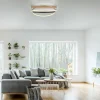 Plafonnier Paul Neuhaus Q-BELUGA LED Or, 1 lumière, Télécommandes