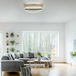Plafonnier Paul Neuhaus Q-BELUGA LED Or, 1 lumière, Télécommandes