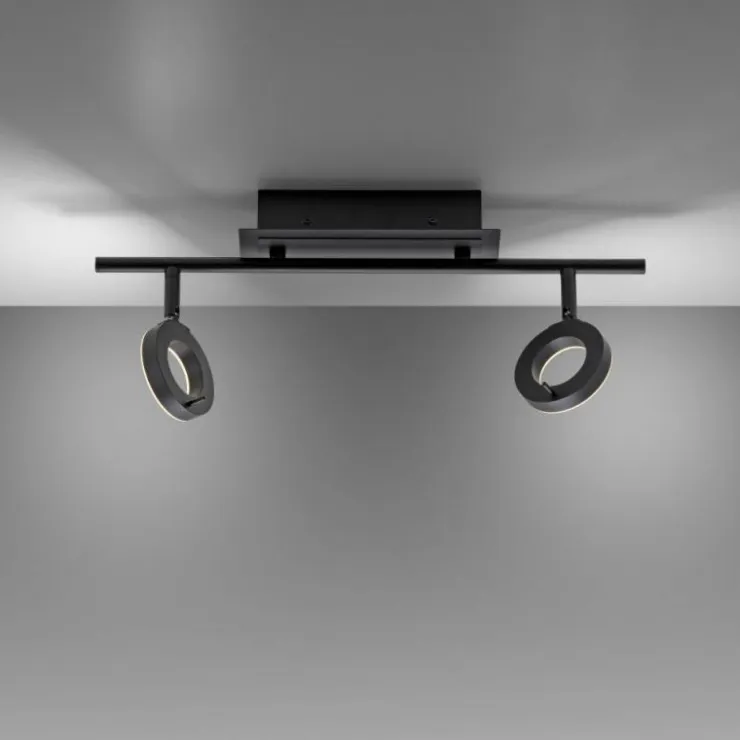 Luminaires Paul Neuhaus Éclairage Led|Plafonnier Paul Neuhaus SILEDA Anthracite, 2 lumières