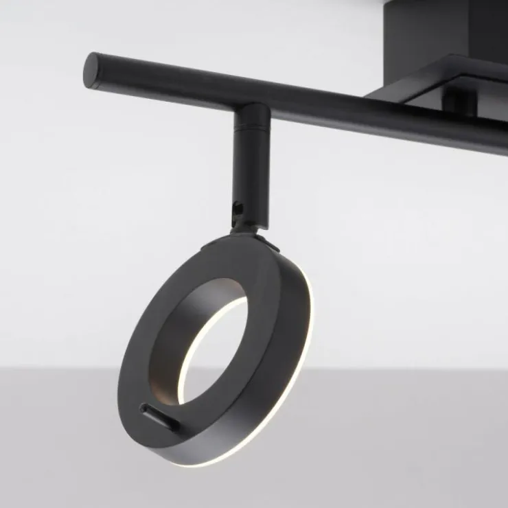 Luminaires Paul Neuhaus Éclairage Led|Plafonnier Paul Neuhaus SILEDA Anthracite, 2 lumières