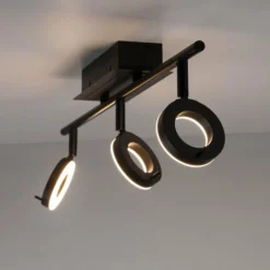 Luminaires Paul Neuhaus Spots Et Projecteurs|Plafonnier Paul Neuhaus SILEDA Anthracite, 3 lumières