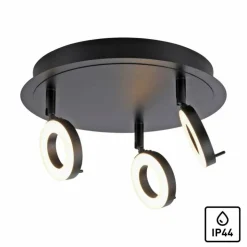 Luminaires Paul Neuhaus Spots Et Projecteurs|Plafonnier Paul Neuhaus SILEDA Anthracite, 3 lumières