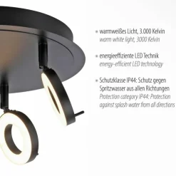 Luminaires Paul Neuhaus Spots Et Projecteurs|Plafonnier Paul Neuhaus SILEDA Anthracite, 3 lumières
