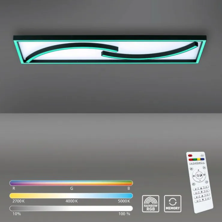 Luminaires Paul Neuhaus Éclairage Led|Plafonnier Paul Neuhaus SERPENT LED Noir, 1 lumière, Télécommandes, Changeur de couleurs