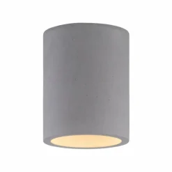 Luminaires Paul Neuhaus Plafonniers|Plafonnier Paul-Neuhaus ETON Gris, Noir, 1 lumière