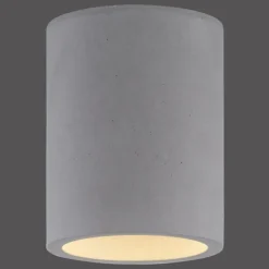 Luminaires Paul Neuhaus Plafonniers|Plafonnier Paul-Neuhaus ETON Gris, Noir, 1 lumière